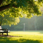 calm-nature-scene-with-a-bench-under-a-tree